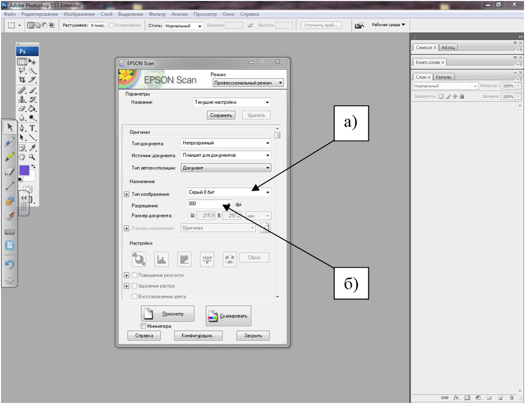 Рис. 1. Снимок с экрана, показывающий процесс импортирования с планшетного сканера Epson Perfektion 4490 изображений исследуемого документа: а) по типу изображения в 8 или 24 битах и б) разрешением 300 dpi.
