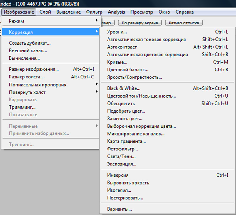Рис. 1. Вид подменю «Изображение»→«Коррекция»
